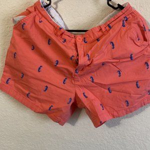 Coral & Blue Shorts Size 12